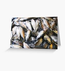 Fish on Ice~COLD FISH Greeting Card