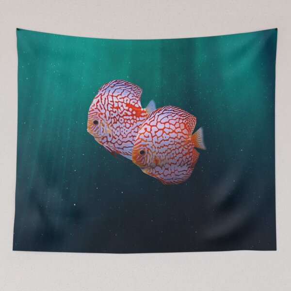 Item preview, CHEQUERBOARD DISCUS FISH - DISCUS FISH designed and sold by Danicus666.