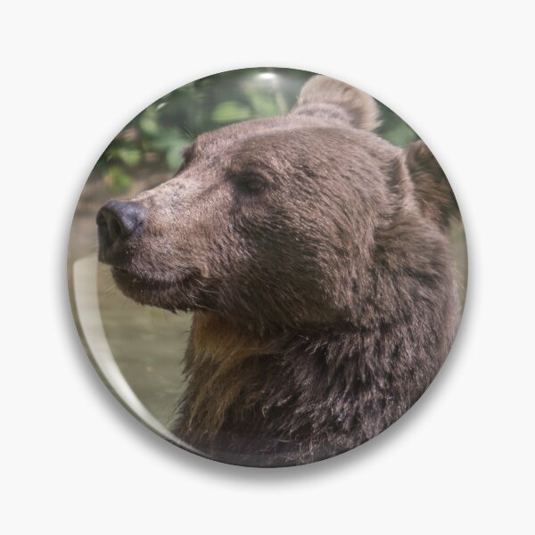 Item preview, Brown Bear designed and sold by Conservation Art Emporium.