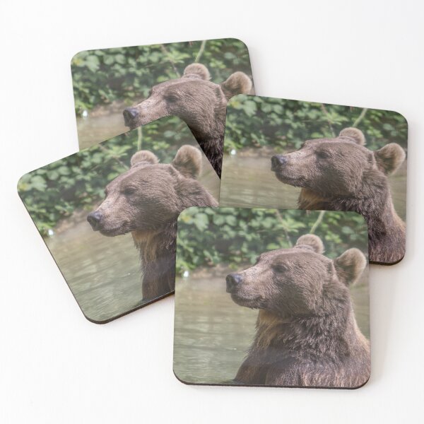 Item preview, Brown Bear designed and sold by Conservation Art Emporium.