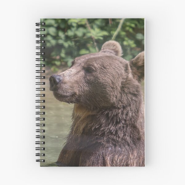 Item preview, Brown Bear designed and sold by Conservation Art Emporium.