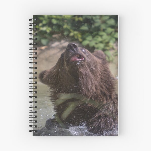 Item preview, It helps to be a little crazy designed and sold by Conservation Art Emporium.