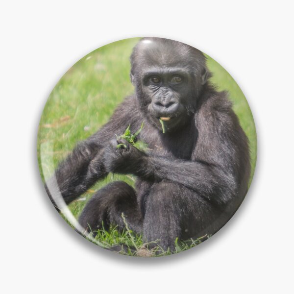 Item preview, Baby Gorilla designed and sold by Conservation Art Emporium.
