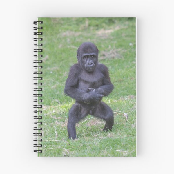 Item preview, Baby gorilla standing on 2 legs designed and sold by Conservation Art Emporium.