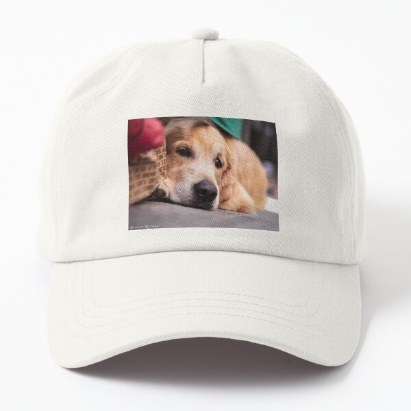 Dog's sorrow Dad Hat