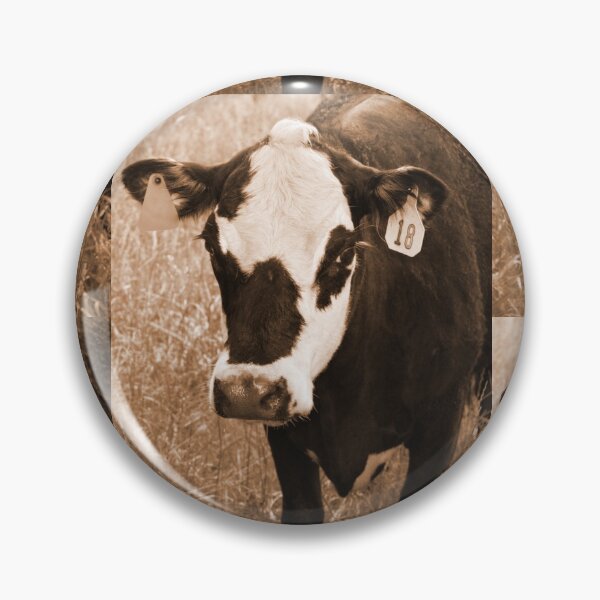 Item preview, Don't hate me 'cause I'm beautiful... designed and sold by chstudios.