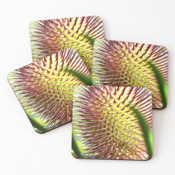 Item preview, Teasel designed and sold by Barbitastic.