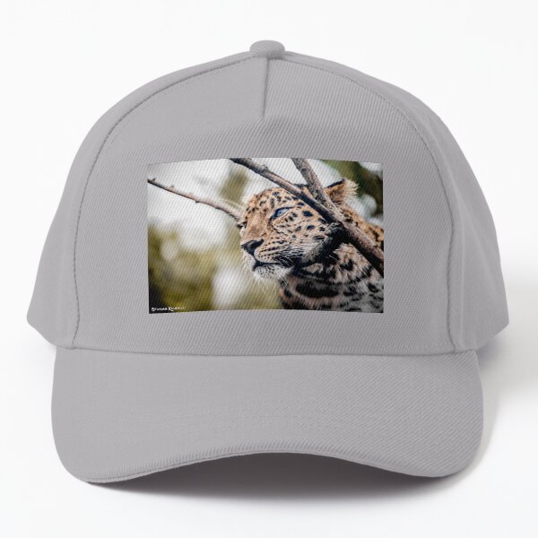 Love Panther IV Baseball Cap
