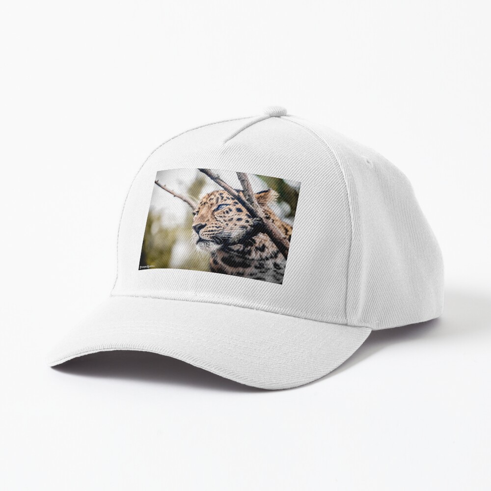 Love Panther IV Cap