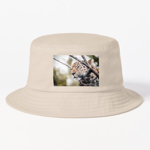 Love Panther IV Bucket Hat