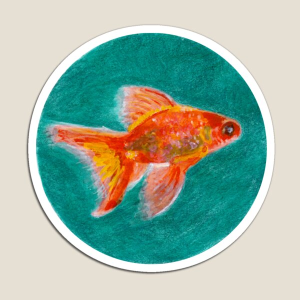 Goldfish Magnet