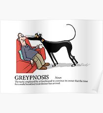 Greyhound Glossary: Greypnosis Poster