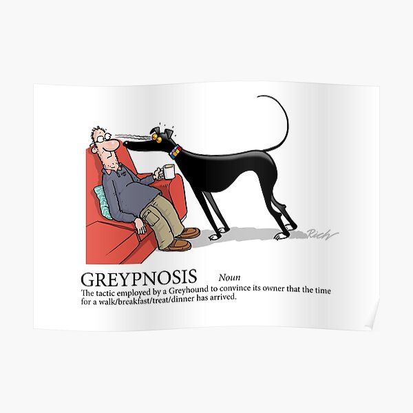 Greyhound Glossary: Greypnosis Poster