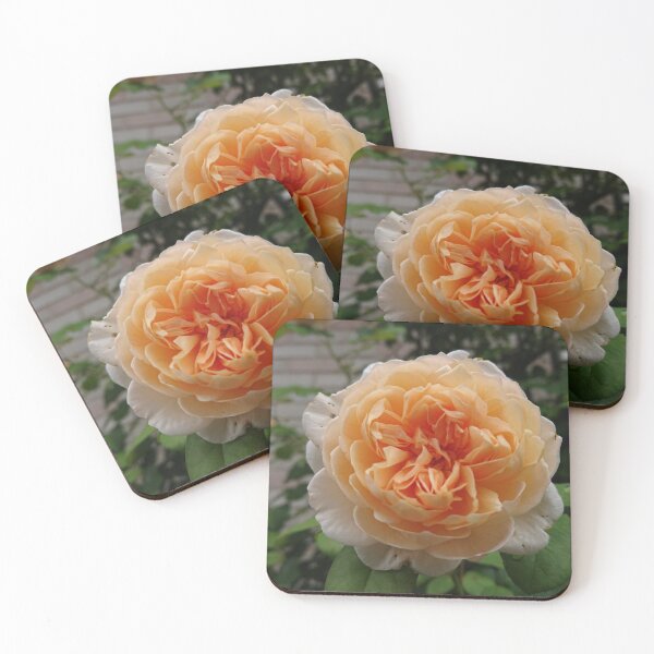 Item preview, Orange rose designed and sold by supernut.