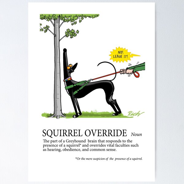 Item preview, Greyhound Glossary: Squirrel Override designed and sold by RichSkipworth.