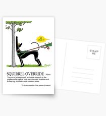 Greyhound Glossar: Eichhörnchen überschreiben Postkarten