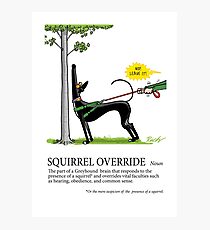 Greyhound Glossary: Squirrel Override Photographic Print