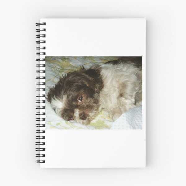 Item preview, Agatha Bitzie, shih tzu designed and sold by chstudios.