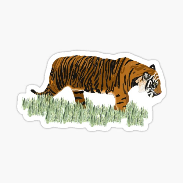 Artikel-Vorschau von Tiger, Tiger-Liebhaber, Tiger-Illustration, Tierliebhaber, designt und verkauft von smolwoo.