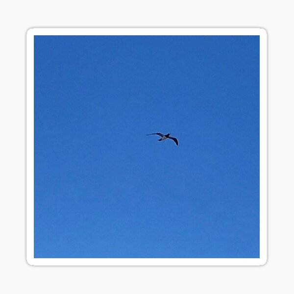 Item preview, Take Flight In Blue designed and sold by DesignsByVieve.