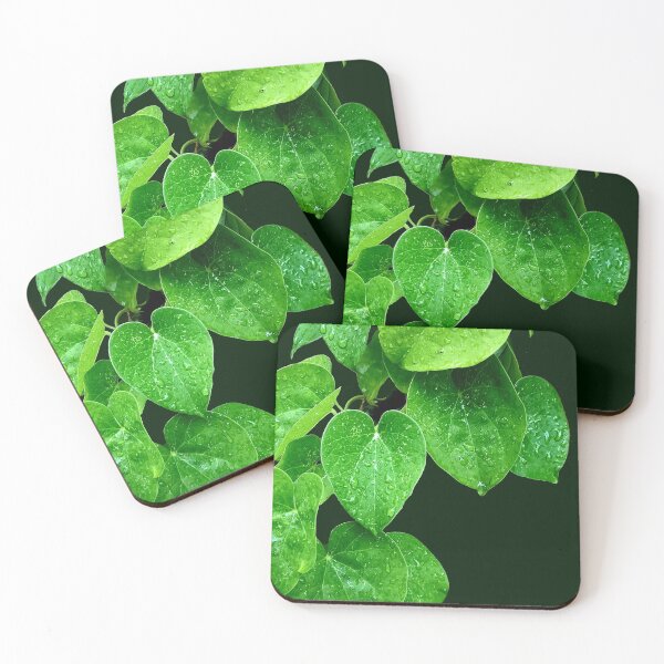 Item preview, Leaves with RainDrops designed and sold by chahakisha.