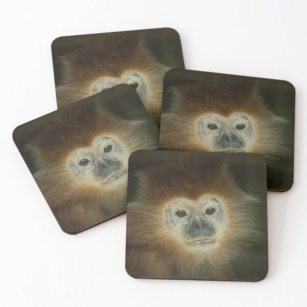 Item preview, Javan Langur designed and sold by Conservation Art Emporium.