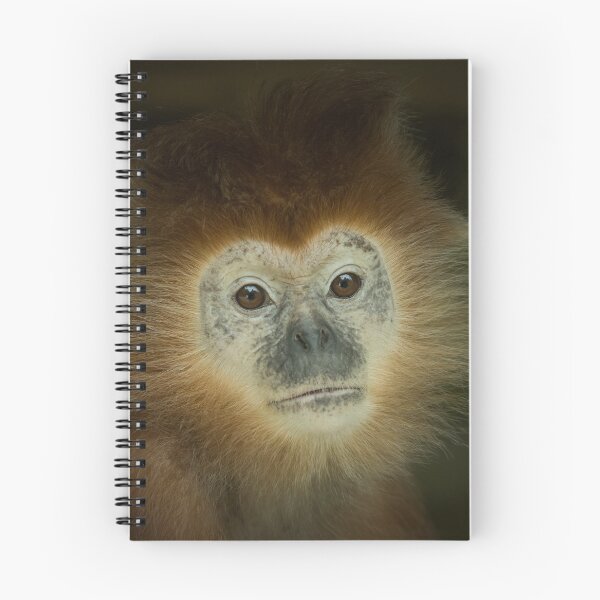 Item preview, Javan Langur designed and sold by Conservation Art Emporium.
