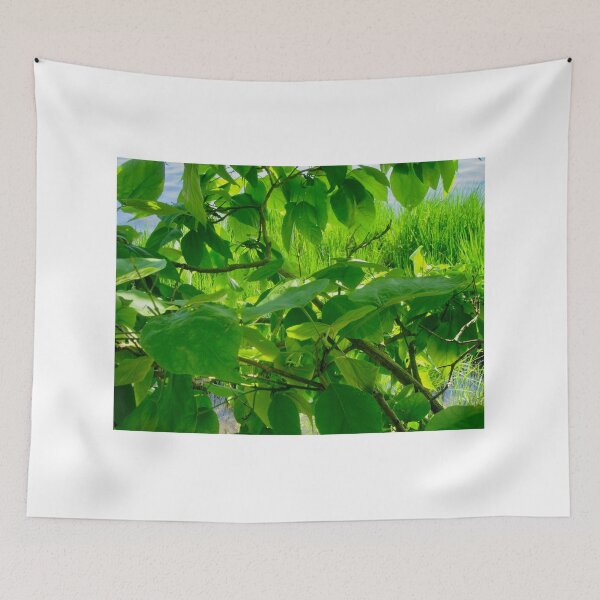 Item preview, Sunlit Leaves designed and sold by Shulie1.