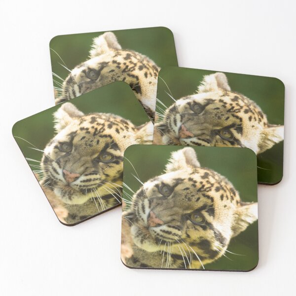Item preview, Clouded Leopard designed and sold by Conservation Art Emporium.