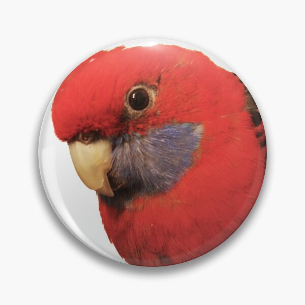 Item preview, Bobby The Crimson Rosella on Transparent Background designed and sold by Terri Waters Photography & Design.