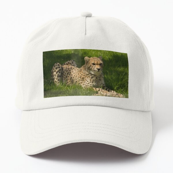 Cheetah Dad Hat