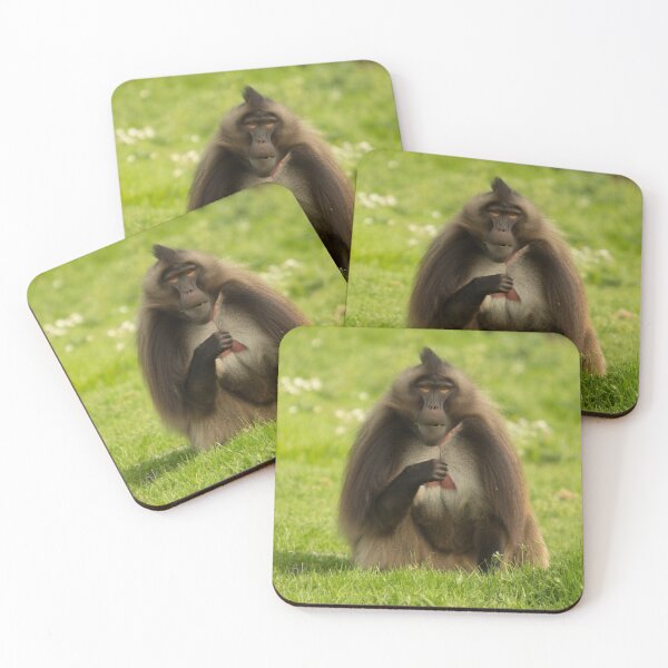 Item preview, Gelada Baboon designed and sold by Conservation Art Emporium.