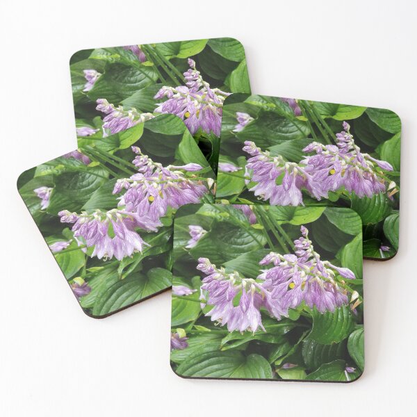 Item preview, Hosta designed and sold by Huppielu.