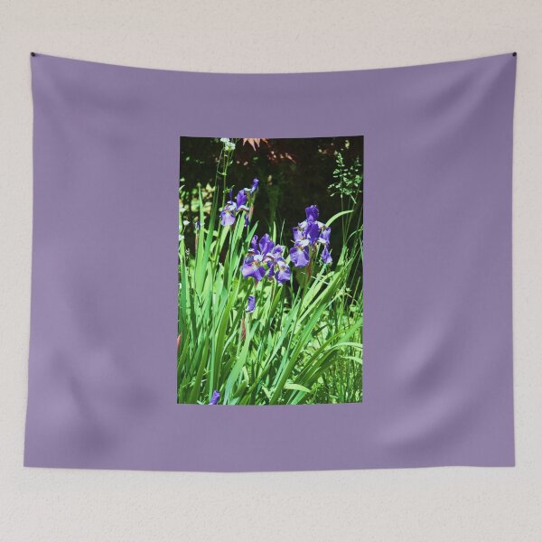 Item preview, Native Blue Flag Irises designed and sold by chstudios.