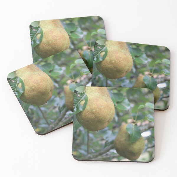 Item preview, Bosc pears designed and sold by chstudios.