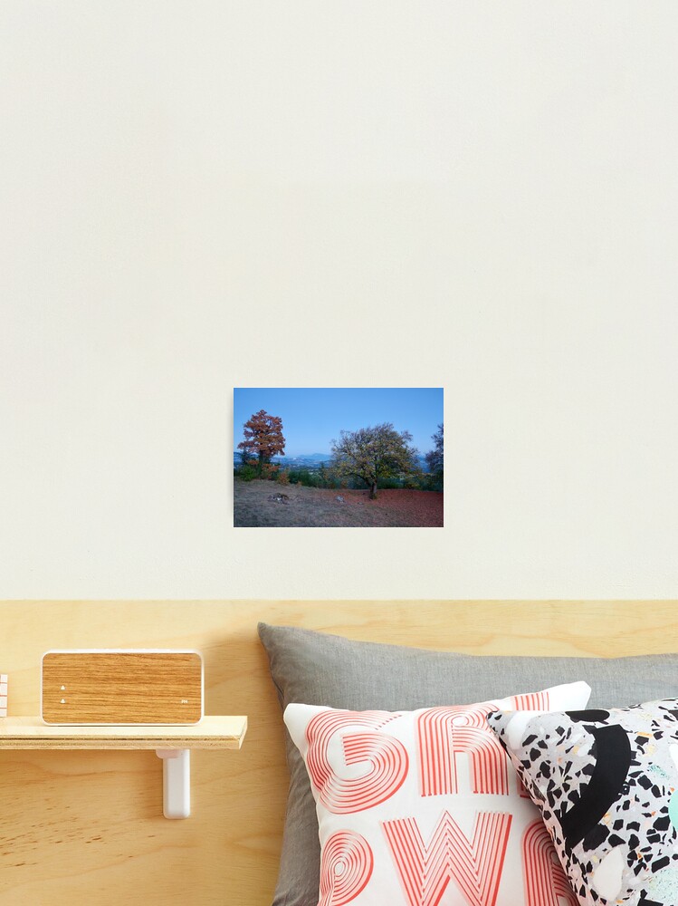 Thumbnail 1 of 3, Photographic Print, Blue hour on the french countryside designed and sold by Patrick Morand.