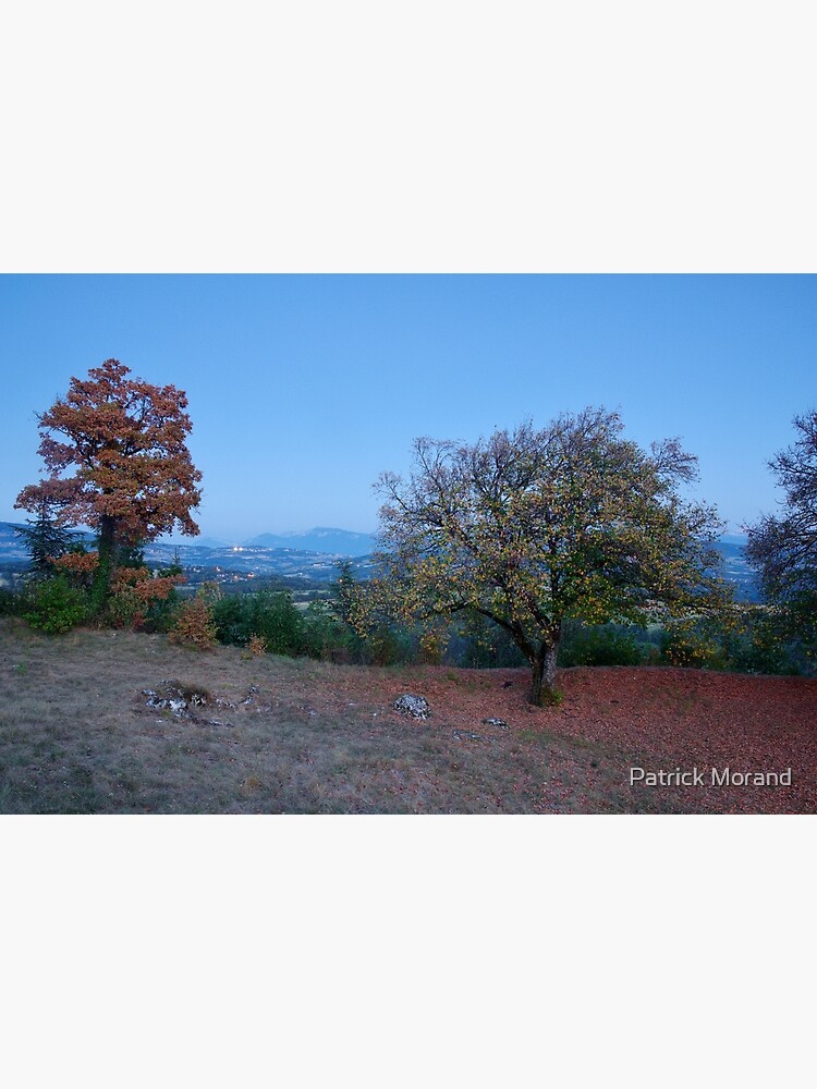 Thumbnail 3 of 3, Photographic Print, Blue hour on the french countryside designed and sold by Patrick Morand.