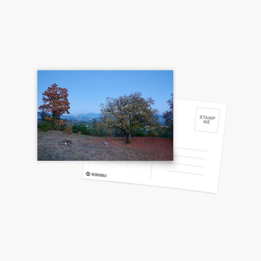 Item preview, Postcard designed and sold by patmo.