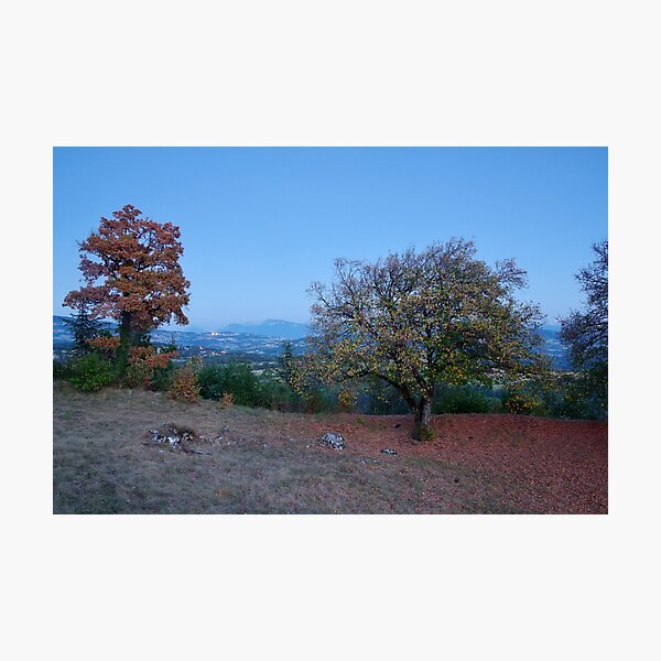 Photographic Print