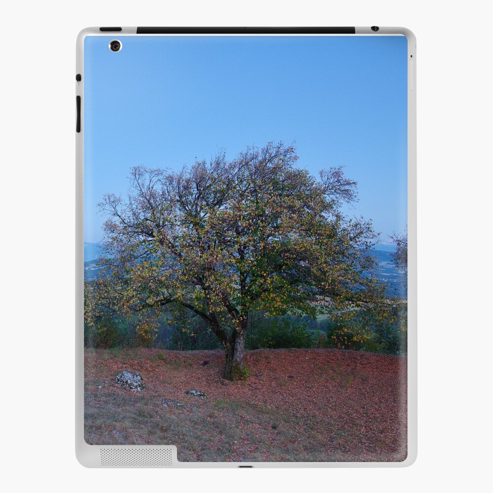 Item preview, iPad Skin designed and sold by patmo.