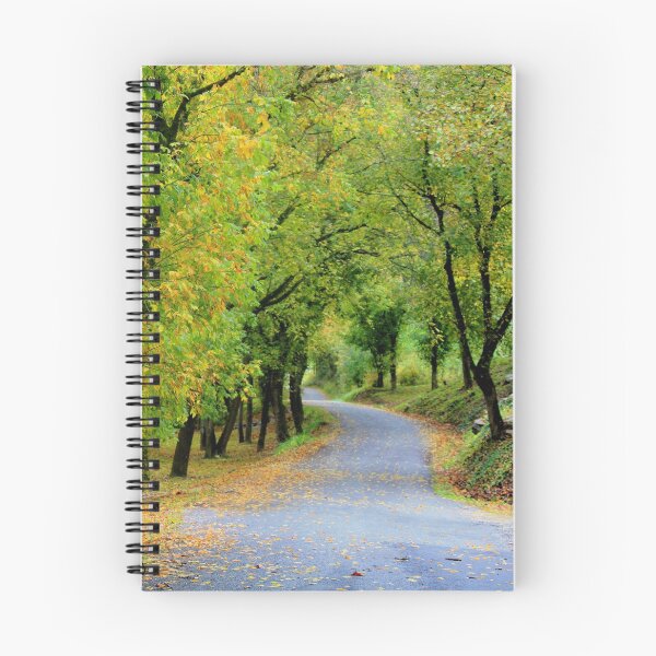 Artikelvorschau, Flussstraße im Herbst entworfen und verkauft von chstudios.