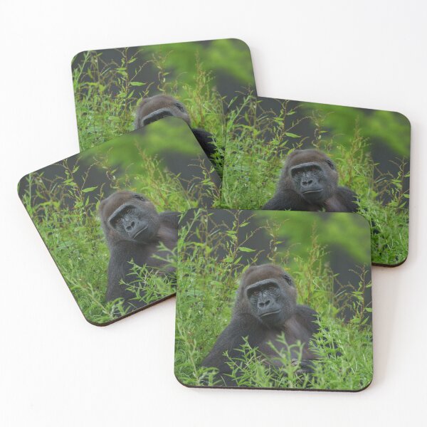 Item preview, gorilla in the grass designed and sold by rawshutterbug.