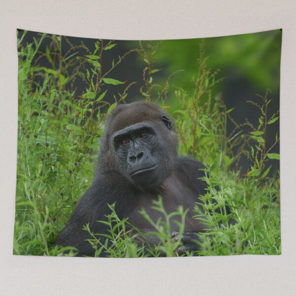 Item preview, gorilla in the grass designed and sold by rawshutterbug.