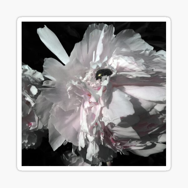 Flowerbug 1999 Sticker