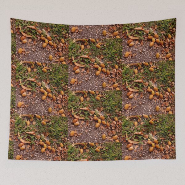 Item preview, Acorns designed and sold by Bluesrose.
