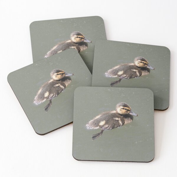 Item preview, Mallard Duckling designed and sold by happynaturalist.