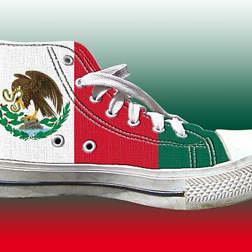 Hi Top Mexico Basketball Shoe Flag