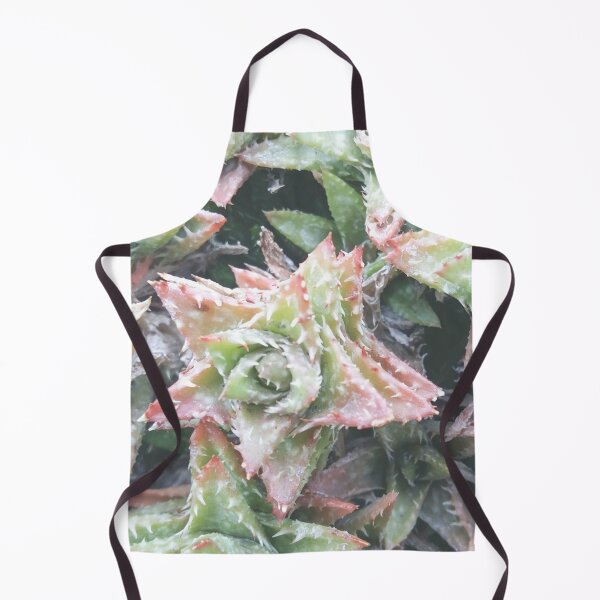 Item preview, Succulents of the National Botanic Garden in Dublin designed and sold by Juba Moni Store.