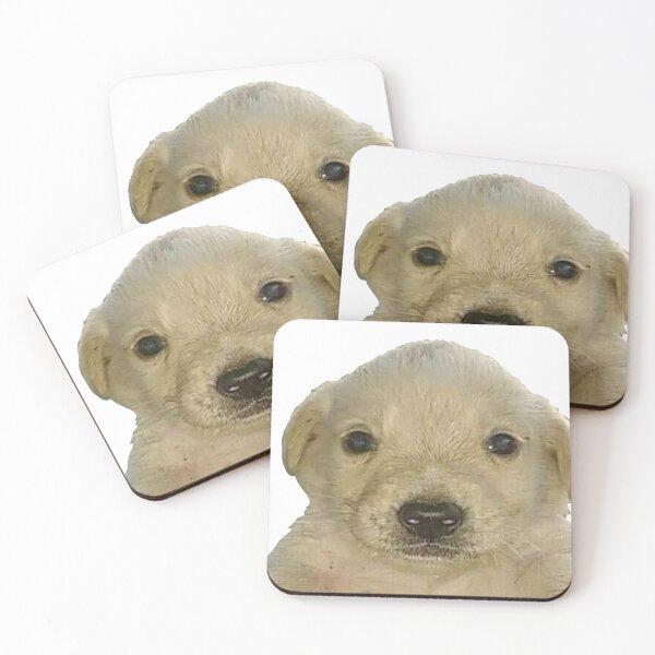 Item preview, Jotchua meme jotchua dog  designed and sold by romanticists.