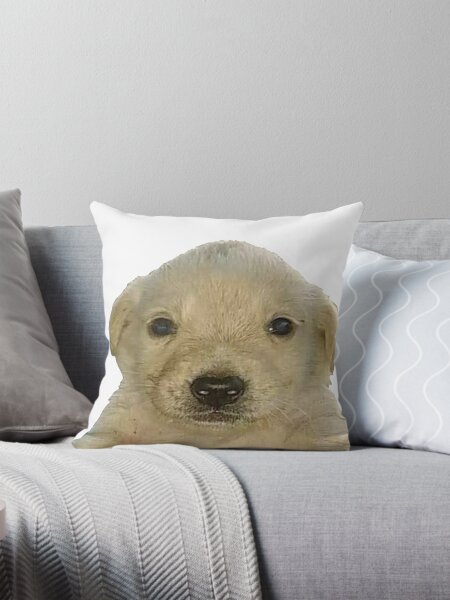 Item preview, Jotchua meme jotchua dog  designed and sold by romanticists.